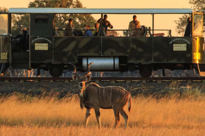 Im Hwange Nationalpark: auf Schienen durch die Wildnis
