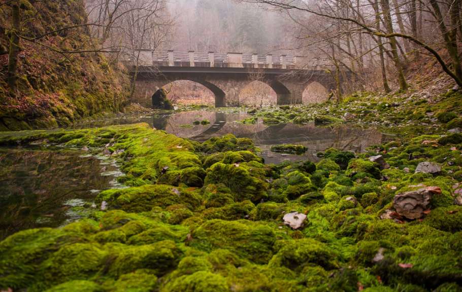 Dichter Wald, dünne Besiedlung: Ternowaner Wald