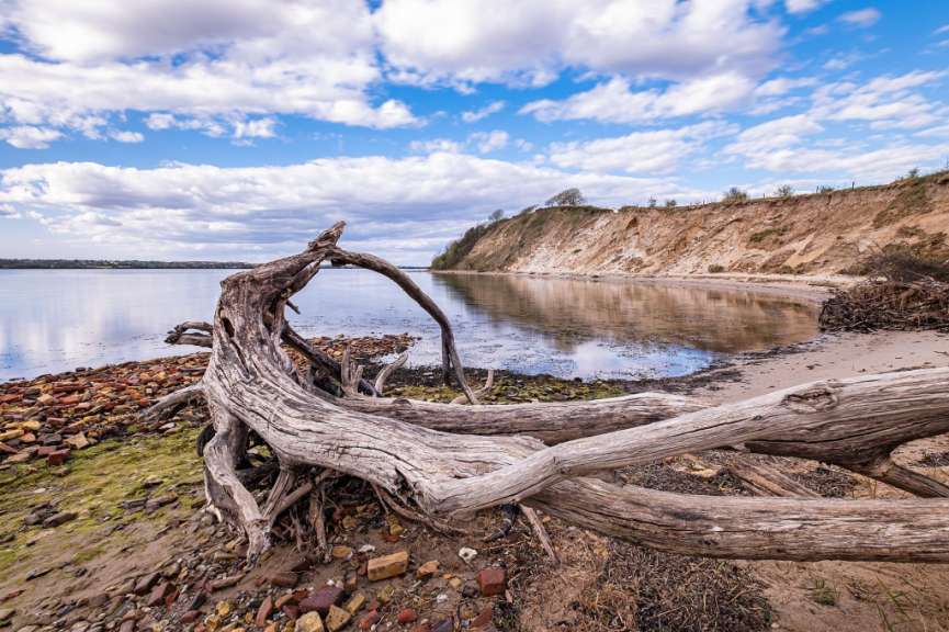 Naturschutzgebiet Holnis
