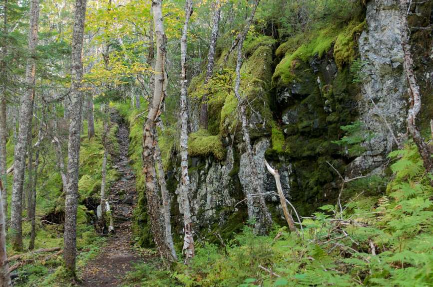 Heimat der Luchse: Terra Nova National Park