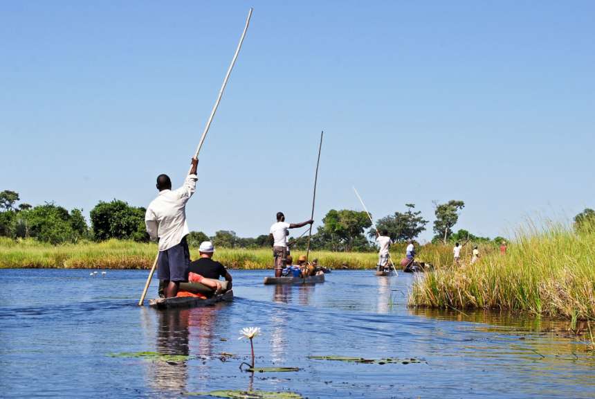 Im Einboot durch die Wildnis: Okavango Delta