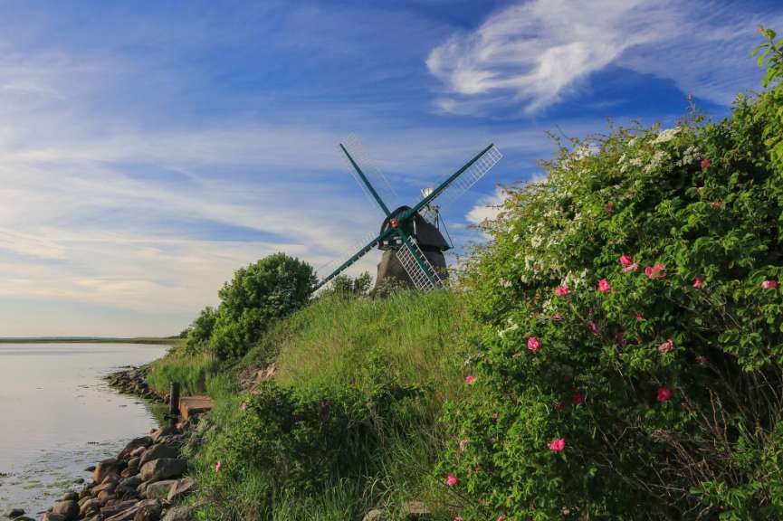 Vogelschutzgebiet Geltinger Birk