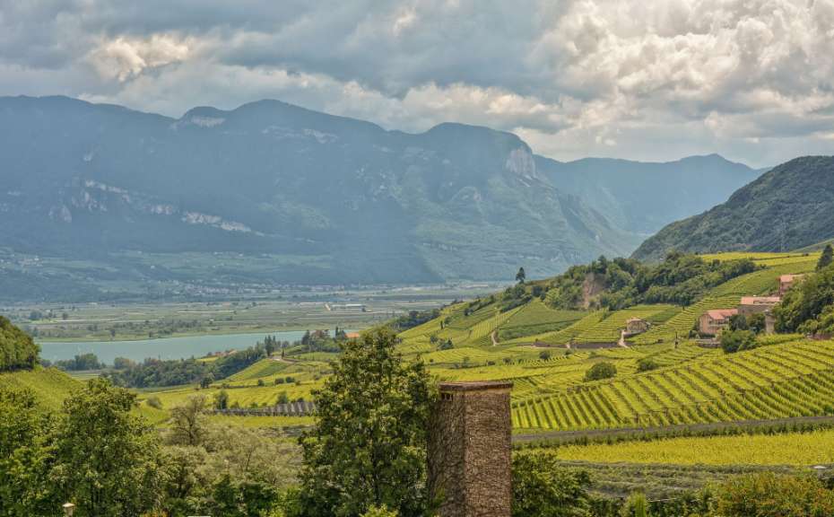 Traumlandschaft am Fuß der Berge: Südtiroler Weinstraße