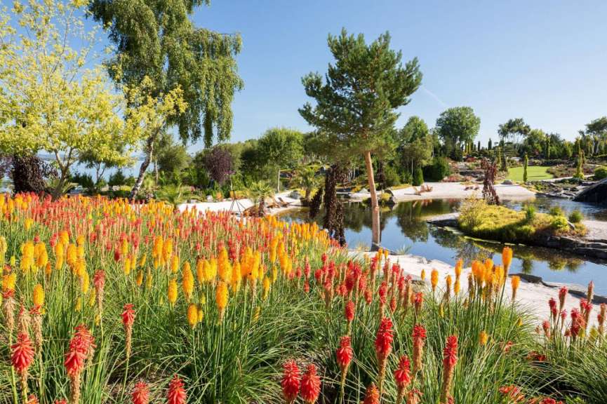 Blumenparadies: Flor og Fjære