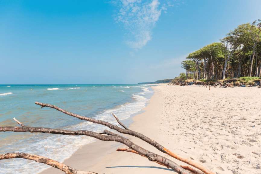 Urwüchsige Schönheit: Darßer Weststrand