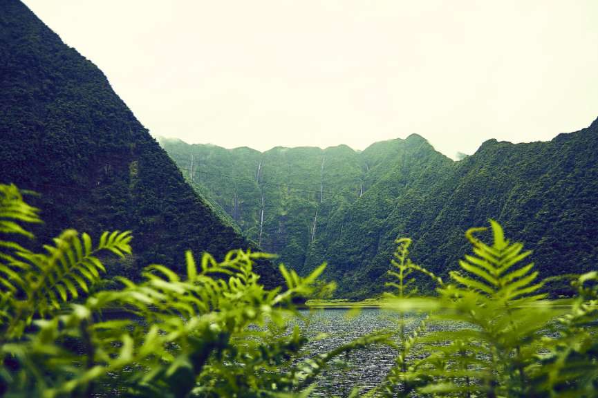 Von Lava versiegelt: Grand Étang