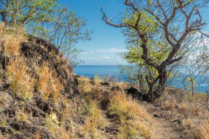 Savannenlandschaft an der Küste: Cap La Houssaye