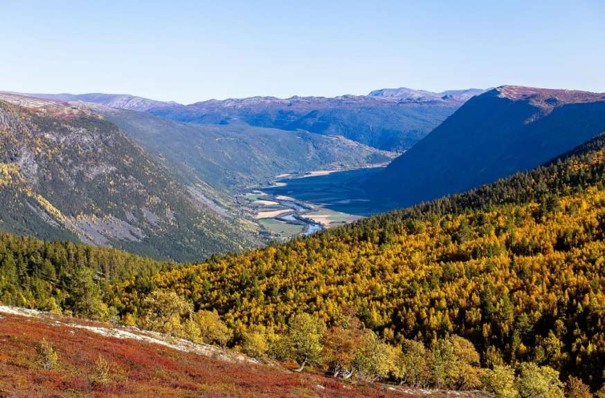 Rondane Nasjonalpark