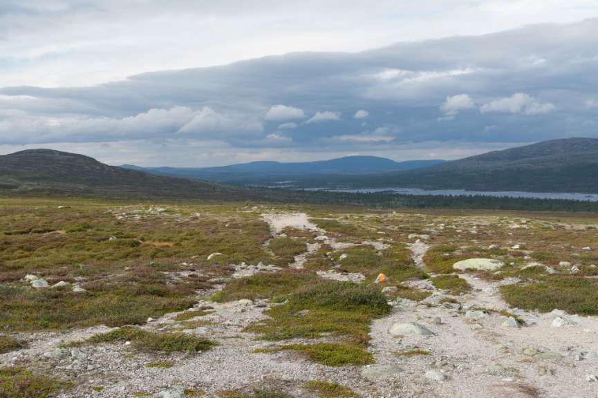 Fjaellwanderung: Blick auf den Grövelsjön