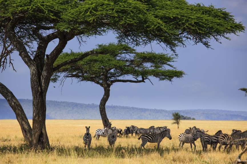 Serengeti-Nationalpark