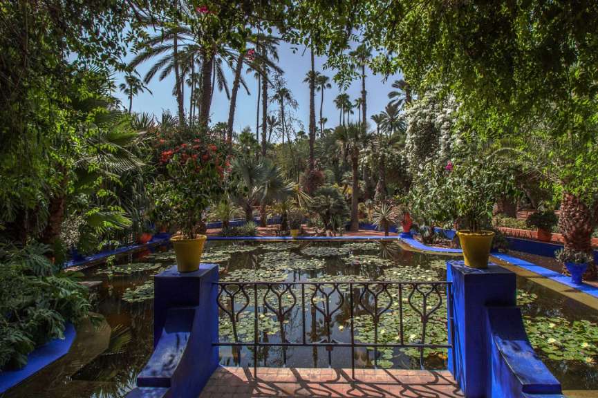 Schönster Garten Marrakeschs: Jardin Majorelle