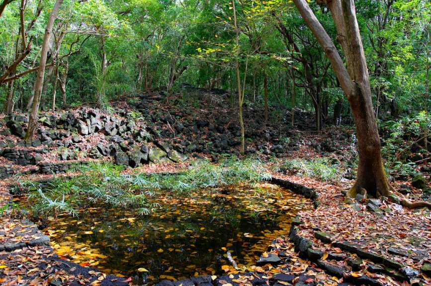 Seit 2011 unter Schutz: Bras d'Eau National Park