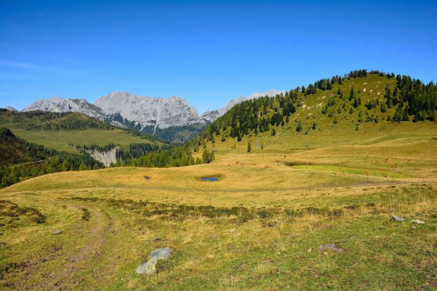Monte Pieltinis: Wanderung mit Dolomitenblick