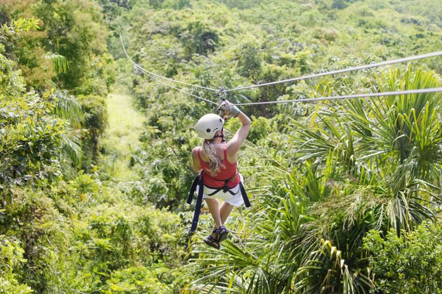 An Seilen durch die Baumkronen: Canopy Tour in Selvatura