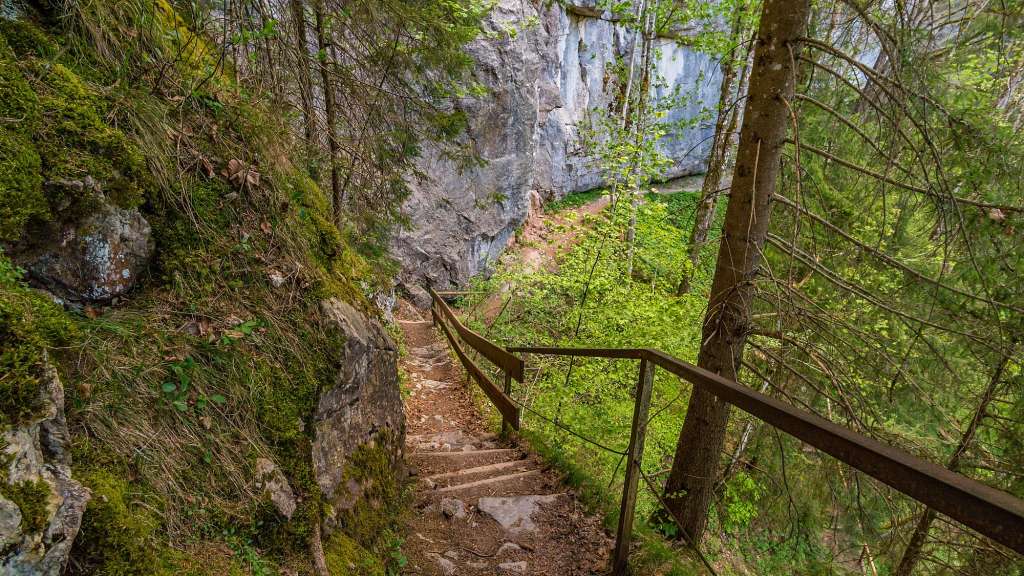Auf Stegen in die wilde Schlucht: Starzlachklamm