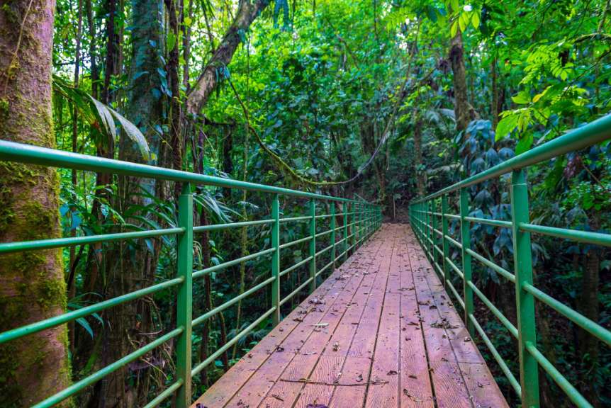 Spaziergang zwischen den Baumkronen: Mistico Park