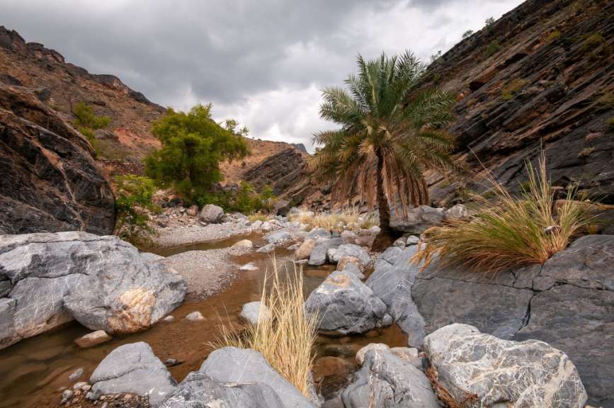 Abenteuerlich unterwegs im Wadi Bani Awf: Canyoning