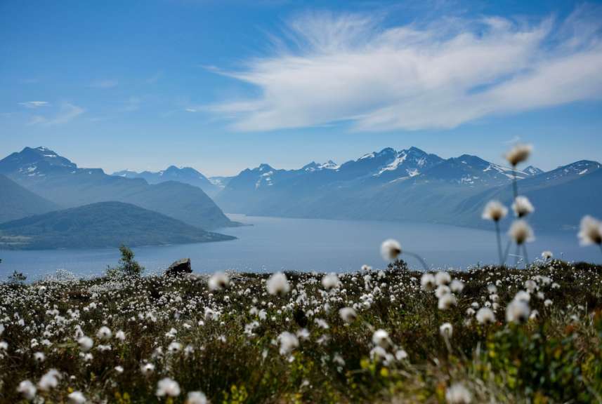 Wandern und genießen: Sunnmøre