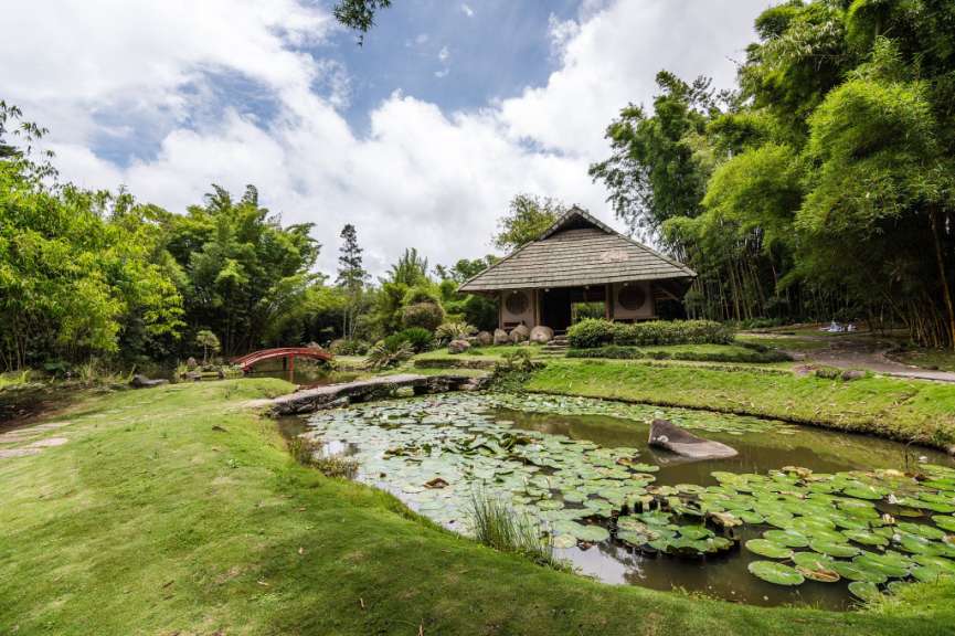 Ursprung in den 1940er Jahren