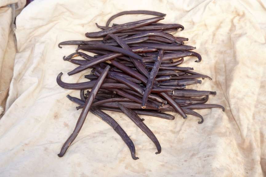 Edles Produkt: Vanille