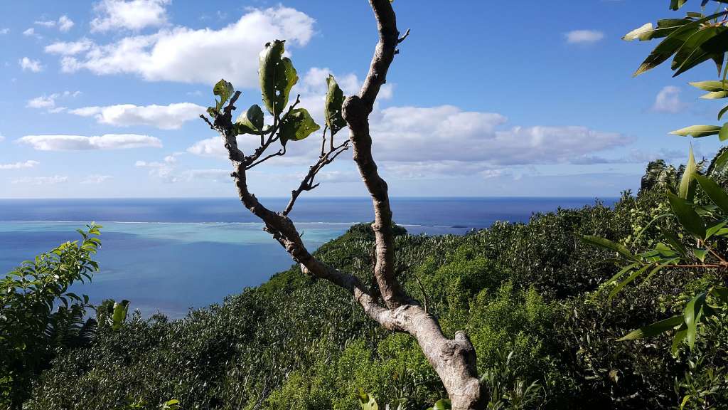 Grandiose Aussicht: Wanderung zum Lion Mountain
