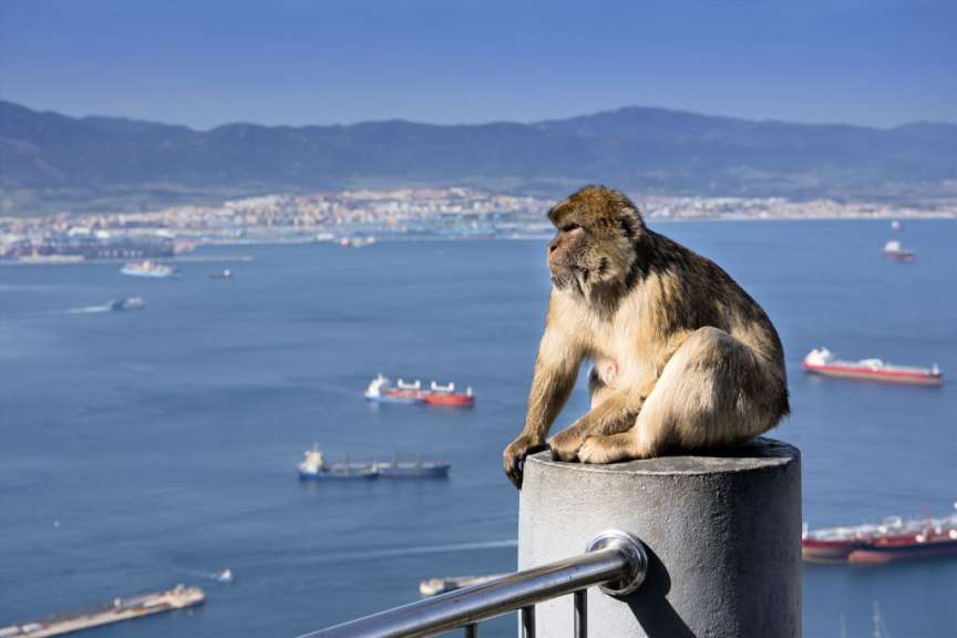 Streit um einen Affenfelsen: Gibraltar
