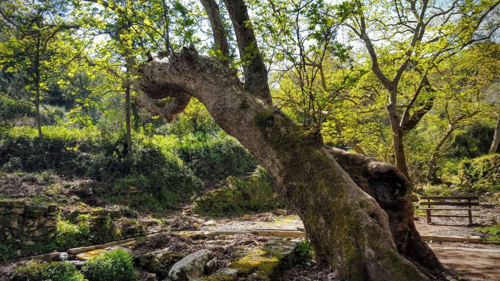 Kreta: Wo Zeus die Europa raubte