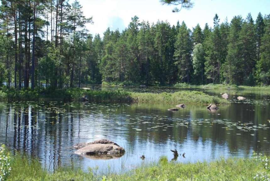 Ein wunderbarer Platz um die Natur zu genießen: See