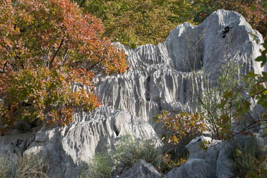 Steinreich: Triestiner Karst