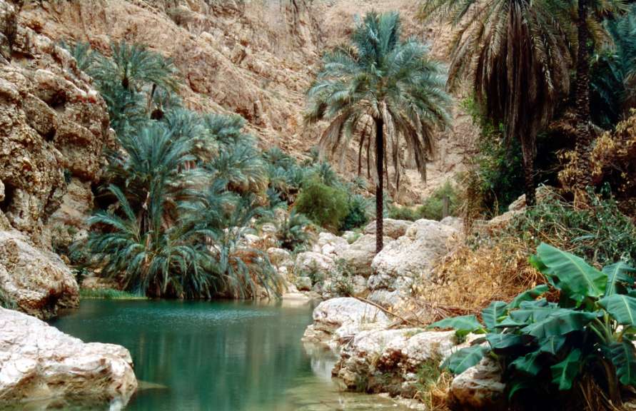 Malerische Natur: Wadi Shab