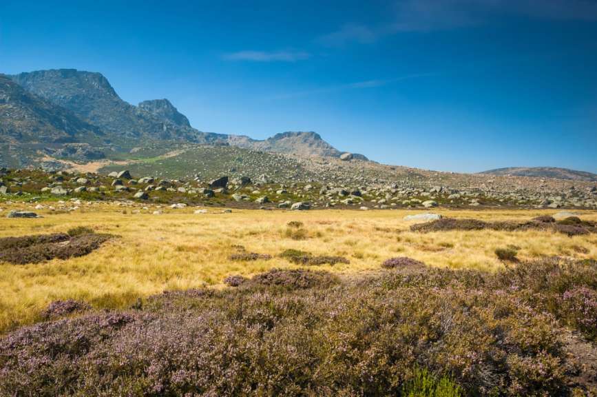 Wilde Bergwelt in Zentralportugal: Serra da Estrela