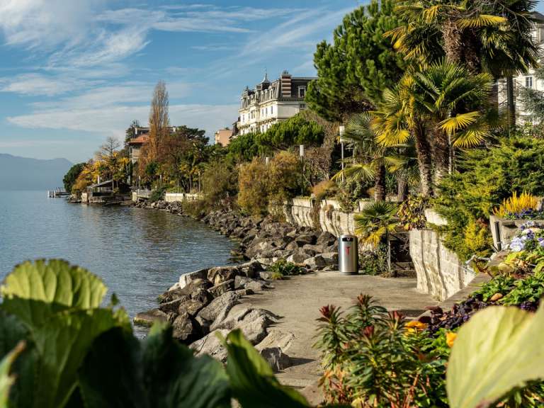 Subtropische Vegetation an der Uferpromenade: Montreux