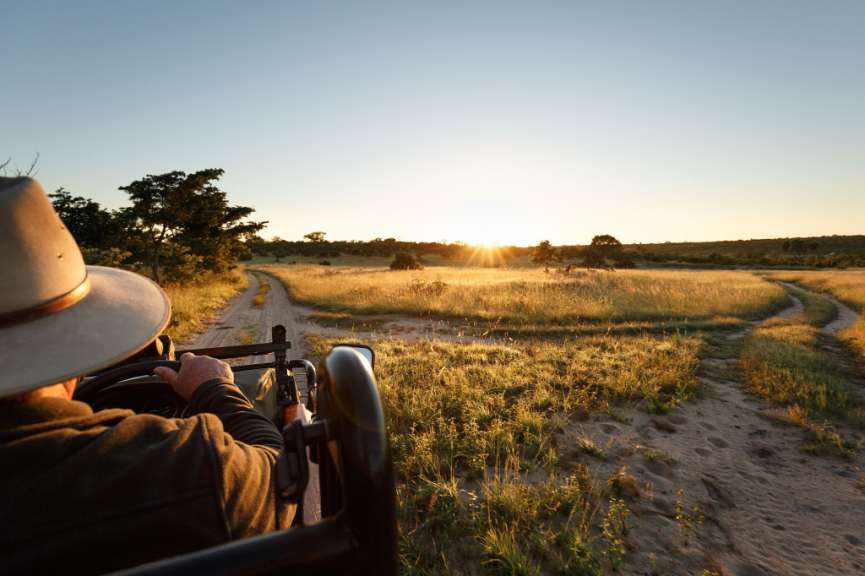 Blick vom Safari-Fahrzeug auf das Sabi Sands Game Reserve