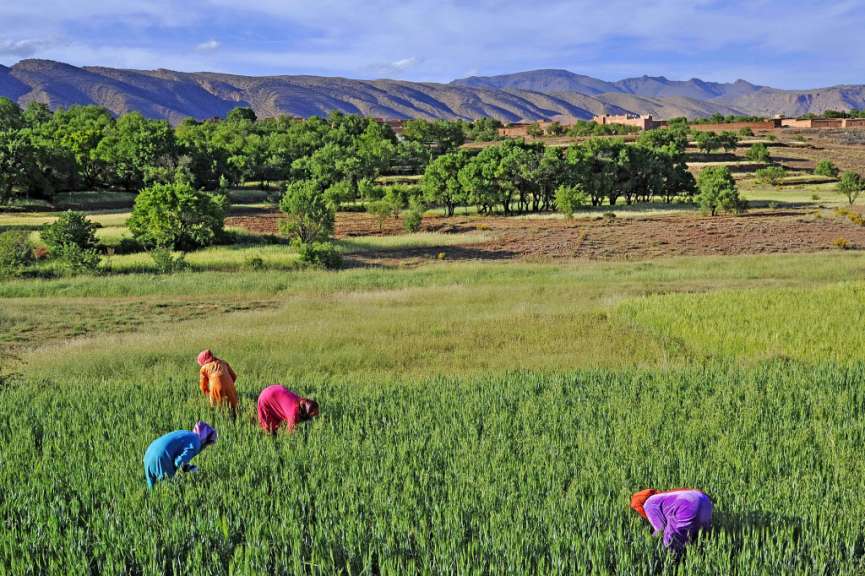 Felder und Obstgärten: Wanderung im Dadèstal