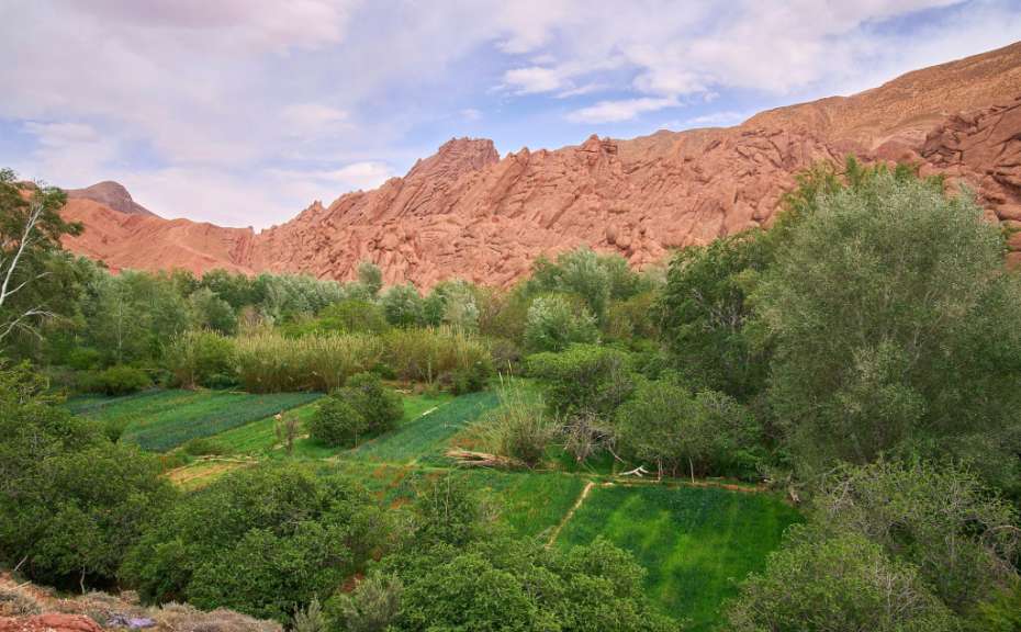 Bizarre Felsformation: Monkey Fingers