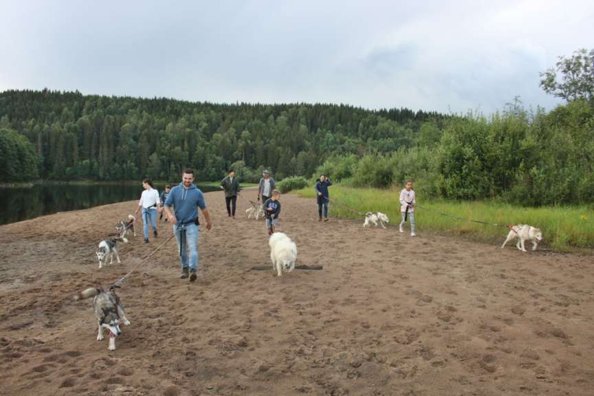Ein Erlebnis für Groß und Klein: Huskywanderung