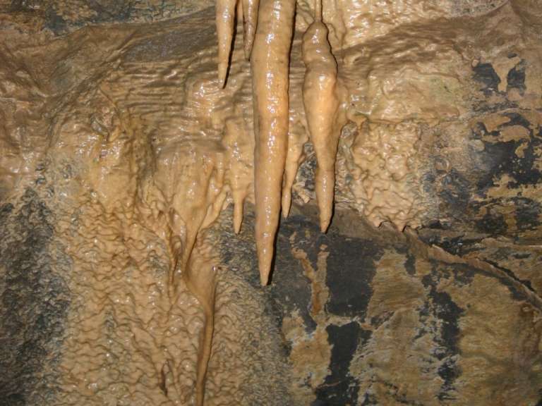 Geführte Höhlentour durch die Aillwee Cave