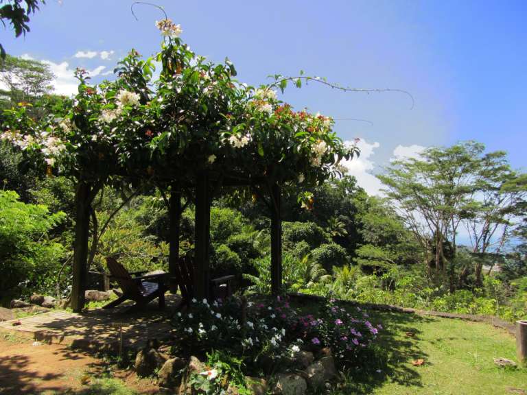 Le Jardin Du Roi Spice Garden