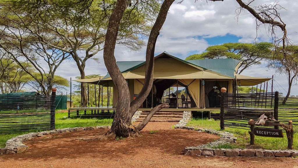Ideal für Tierbeobachtung: Camp in der Serengeti