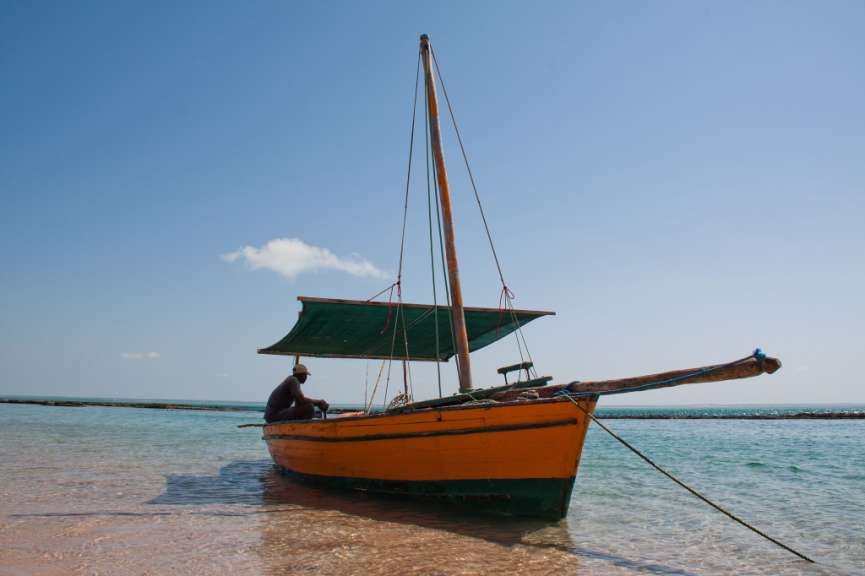 Tagesausflug: Dhow Tour