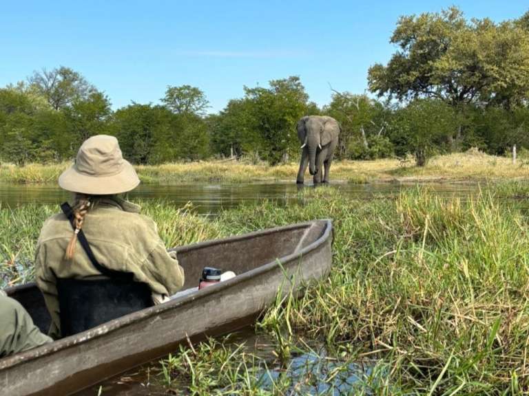 Lilly Brochhaus in Botwsana: Tierbeobachtungen