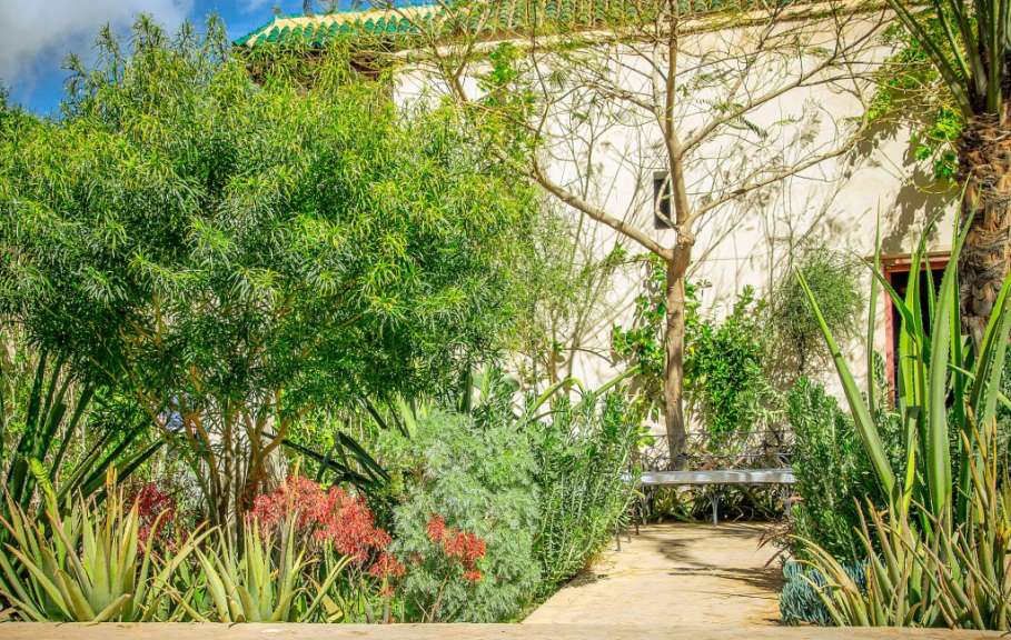 Paradiesgarten: Le Jardin Secret