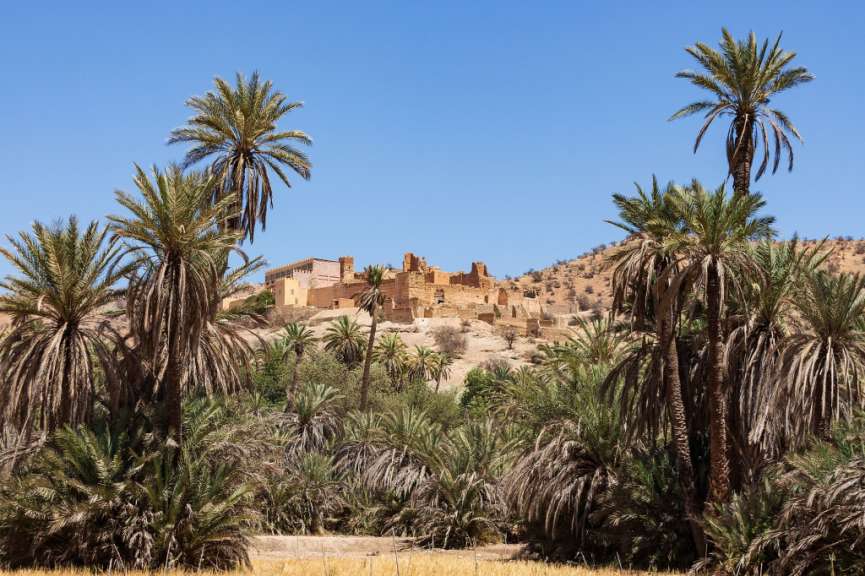 Kasbah und Oase Tiout