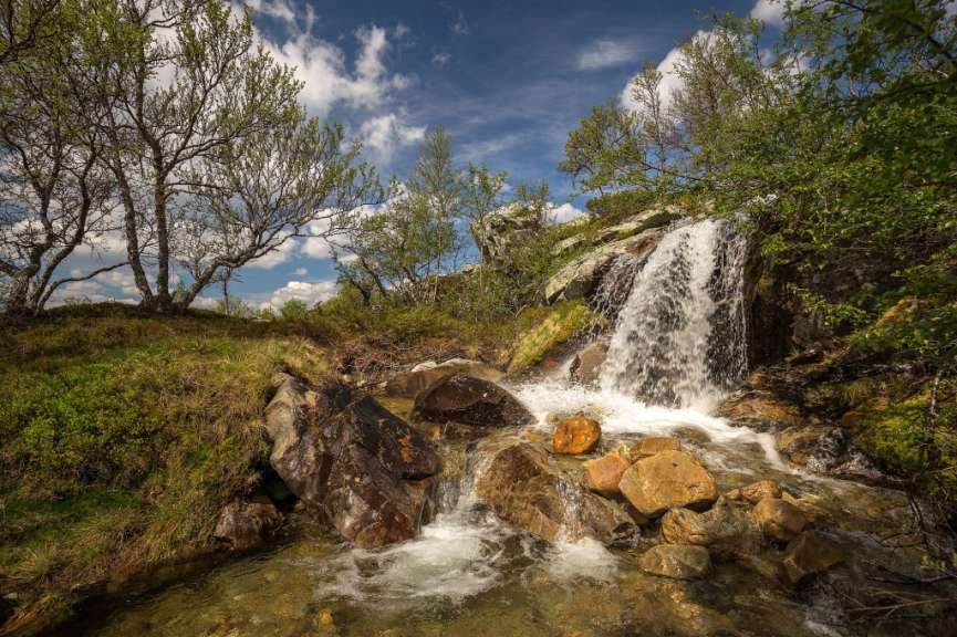 Femundsmarka Nationalpark