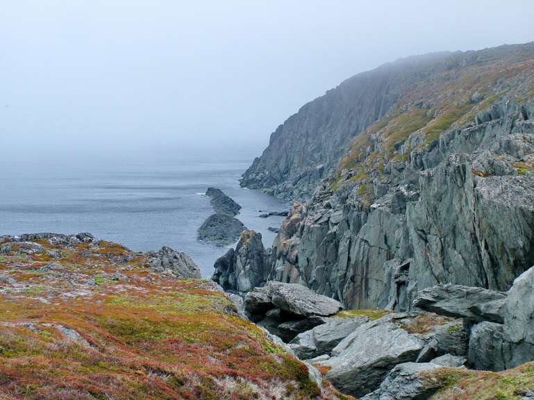Eisberge und Wale beobachten: Quirpon Island
