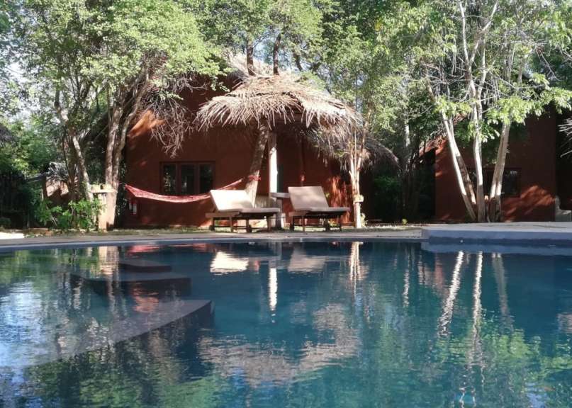 Abseits vom Trubel: Eco Lodge bei Sigiriya