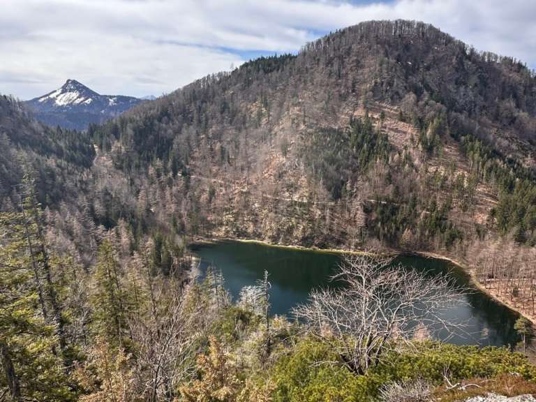 Blick vom Marienköpfl auf den Eibensee