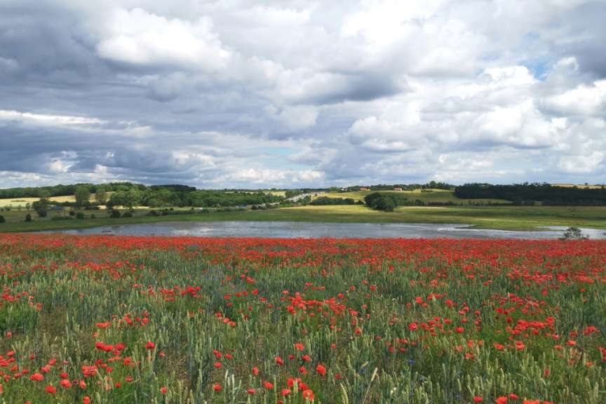 Im Herzen von Seeland: Nationalpark Skjoldungernes Land