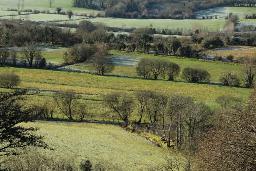 Landschaft bei Milltown Wood