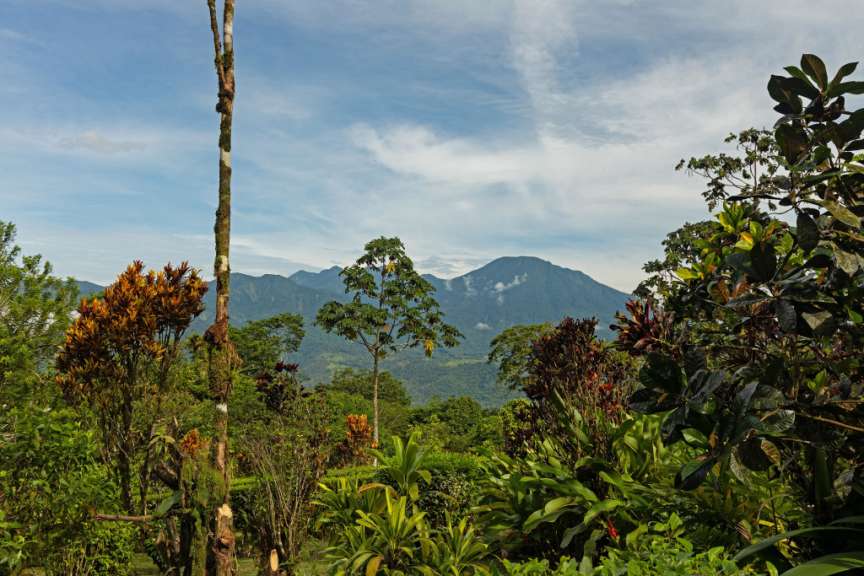 Landschaft bei Bijagua de Upala